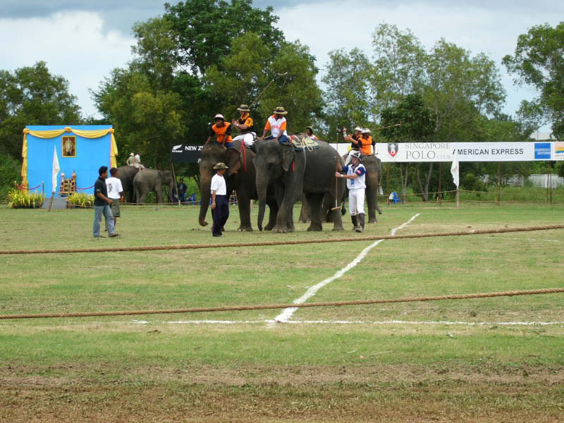 P1020052